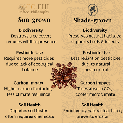 Existential Espresso